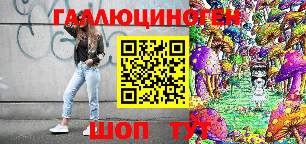 Галлюциногенные грибы Cubensis  где купить наркотик  Вход с VPN  Таганрог  Псилоцибиновые грибы GOLDEN TEACHER 